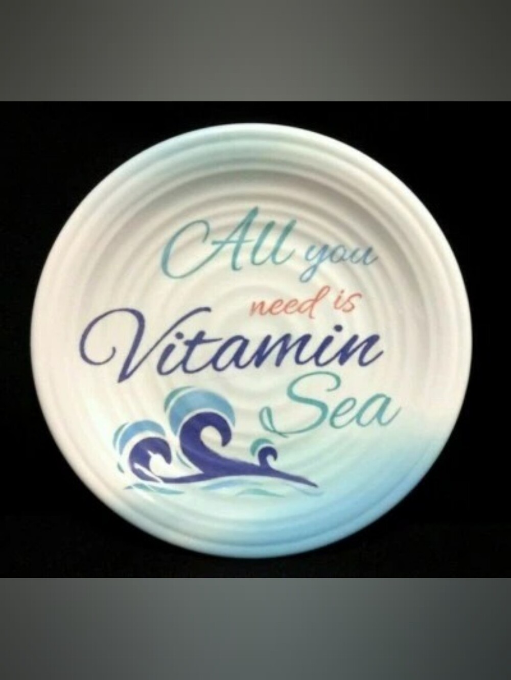 4 Frontgate Summer Pun Melamine Plates ๐๐ - Picture 2 of 6
